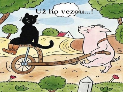 Černý kocourek Mikeš ve Zlíně 