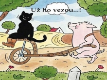 Černý kocourek Mikeš ve Zlíně 